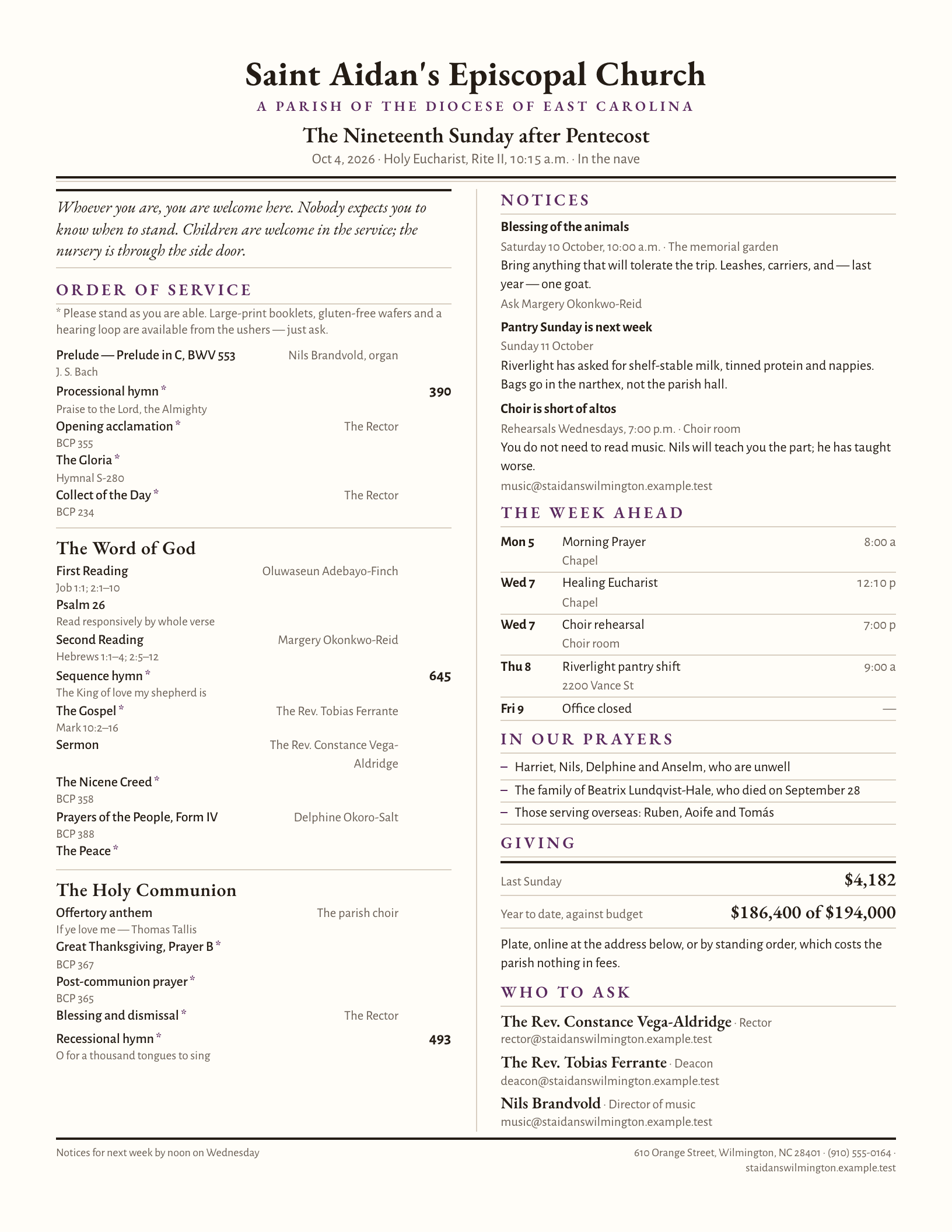 Rendered preview of the bulletin template